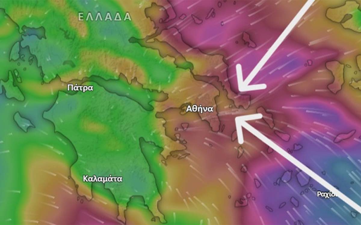 ΕΝΗΜΕΡΩΣΗ ΕΠΙΧΕΙΡΗΣΕΩΝ ΠΟΡΟΥ ΠΟΥ ΕΠΛΗΓΗΣΑΝ ΑΠΟ ΤΗΝ ΚΑΚΟΚΑΙΡΙΑ ERMINIO